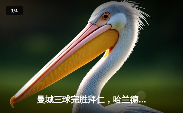 曼城三球完胜拜仁，哈兰德双响统治欧冠半决赛首回合 - 3